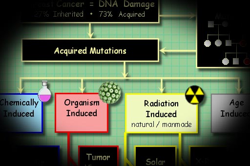 Sources of Cancer Inducing Mutations
