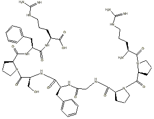 bradykinin drawing