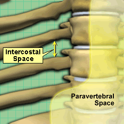 anaimation of  nerve involvement