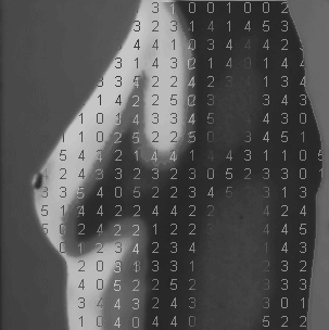 Each cell carries some number of mutuations