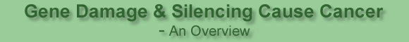 Gene Damage & Silencing Cause Cancer