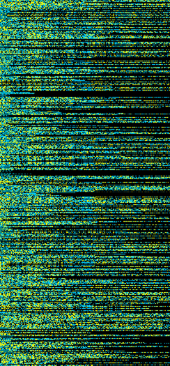 BRACA1 Gene Animation