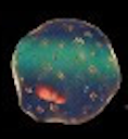 Cell simulations