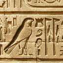 Hieroglyphics studies