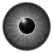 Various projects